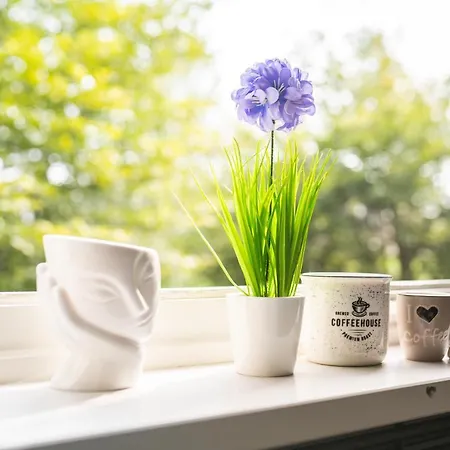 Comfort Free Parking 10 Min Centro *